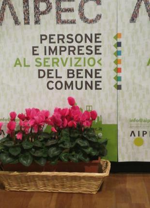 Primo Convegno Nazionale AIPEC