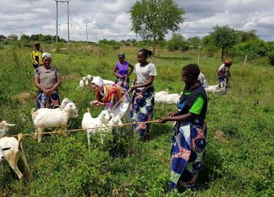 L’orto delle donne di Mutanu continua a crescere