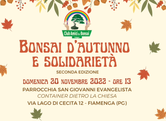 La solidarietà si tinge d'autunno